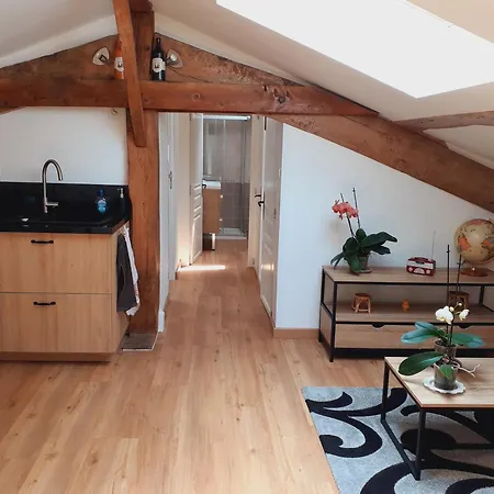 Apartment Appartement Chez L'Habitant *